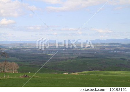 從Naitai高原的看法 10198161