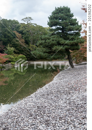 南開Sengong皇宮 南開Sengong皇宮 10198202