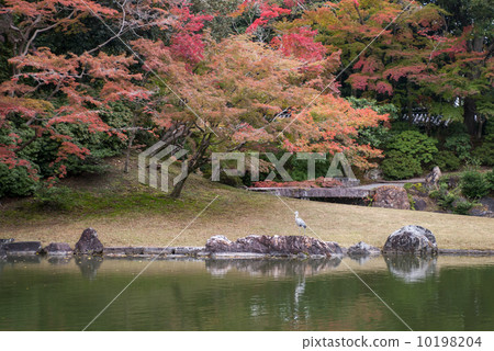 南開Sengong皇宮 南開Sengong皇宮 10198204