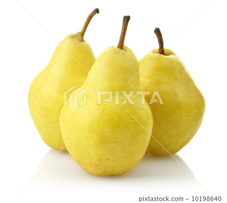 Yellow Pears 10198640