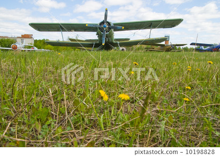 Airplane on dandelion field Airplane on dandelion field 10198828