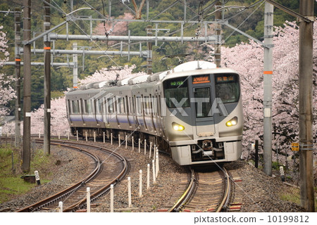 Cherry blossoms at the Yamanaki River · Kishu Rd high speed Cherry blossoms at the Yamanaki River · Kishu Rd high speed 10199812