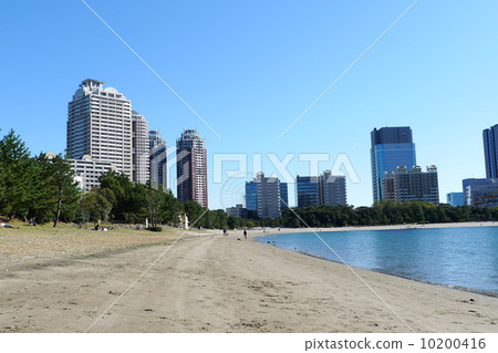 Odaiba Beach Park sandy beach 10200416