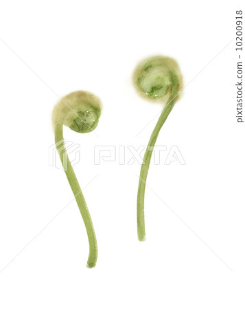 春天的水彩插圖 春天的水彩插圖 10200918