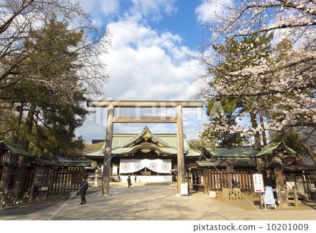 Cherry blossoms in full bloom with Yasukuni Shrine 10201009
