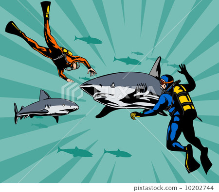 Scuba Divers and Sharks 10202744