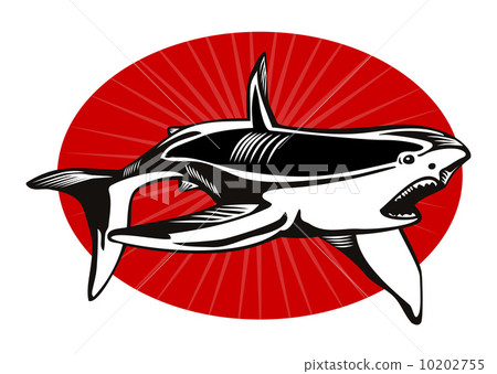 Shark Attacking 10202755