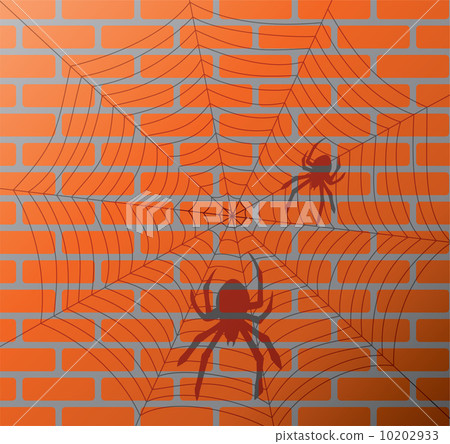 shadow of spiders and web on a brick wall 10202933