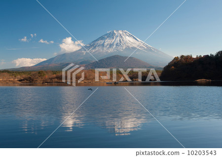 Mount Fuji from Lake Shoin Mount Fuji from Lake Shoin 10203543