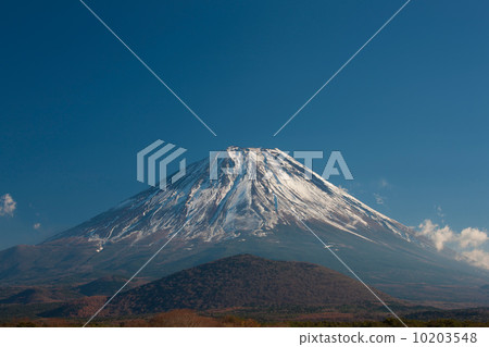 Shoin湖的富士山 10203548