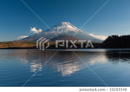 Shoin湖的富士山 10203549