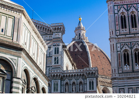 佛羅倫薩 10204821