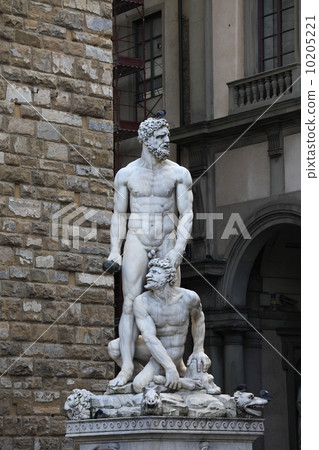 Florence Florence 10205221