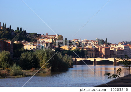 Florence 10205246