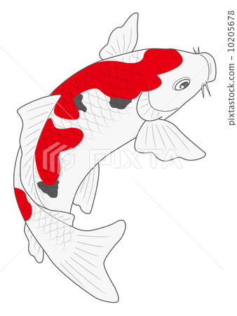 Koi Nishikigo插圖 10205678