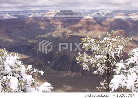 Grand Canyon 10205794