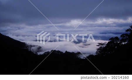 Fog of nature Fog of nature 10214160
