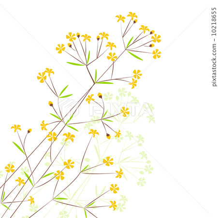 flowers flowers 10218655