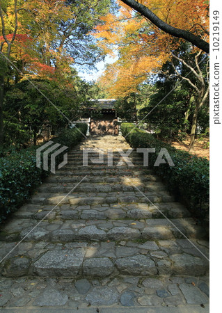 龍安寺 10219149