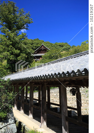 Sunny Hase-dera Era 10219167