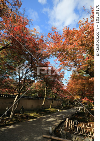 Jōno-in Temple 10219170