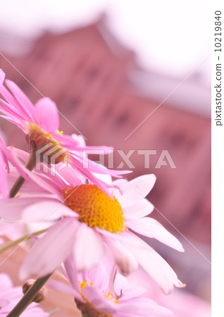 Margaret and red brick warehouse 10219840