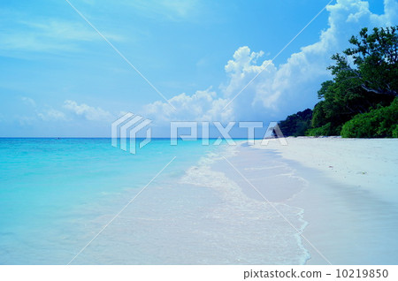 Beach in the southern country Beach in the southern country 10219850