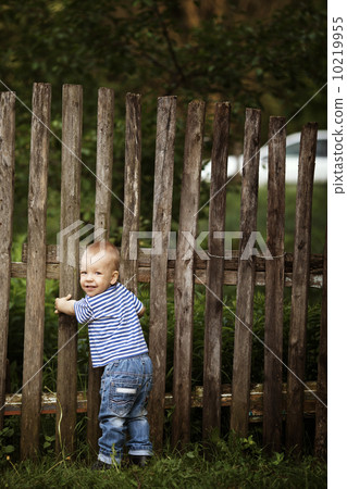 little boy with fence outdoors little boy with fence outdoors 10219955