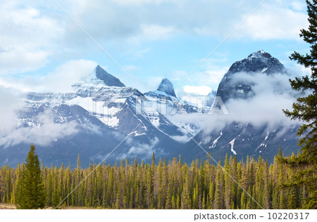Canadian mountains 10220317
