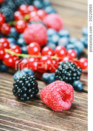 fresh blueberries, currants, blackberries, cranberries and raspb 10220660