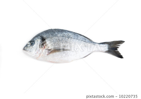 Dorado 10220735