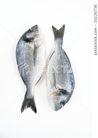 Dorado 10220736