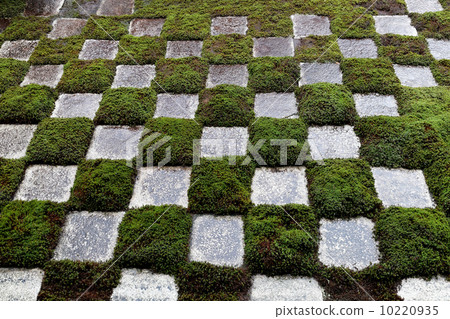 Northern garden of Tofukuji 10220935