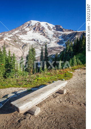Bench and Mount Rainier 10221297