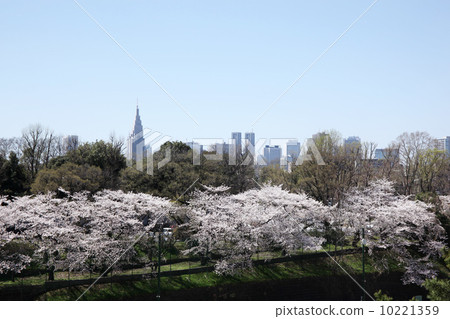 Shinjuku distant view Shinjuku distant view 10221359