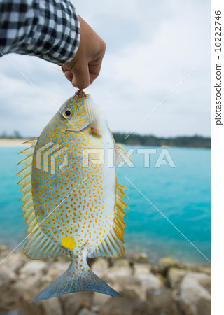 Car fishing Car fishing 10222746