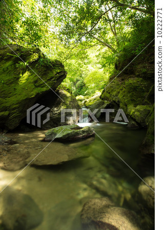 Clear flow of Yanbaru (Okumagawa) Clear flow of Yanbaru (Okumagawa) 10222771