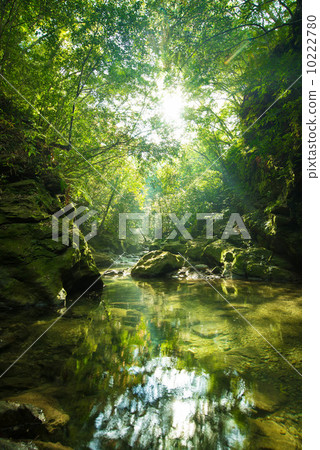 Clear flow of Yanbaru (Okumagawa) Clear flow of Yanbaru (Okumagawa) 10222780