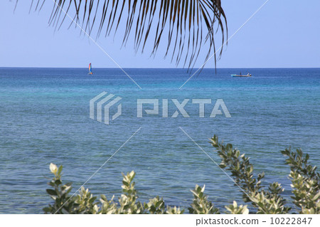 牙買加的加勒比海 10222847