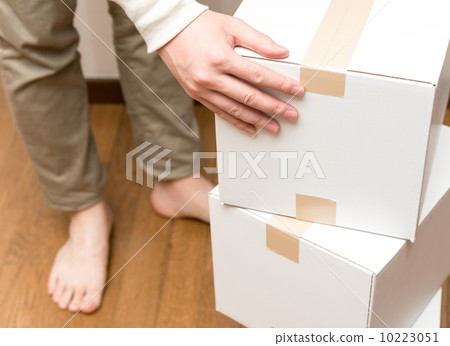 Cardboard box  10223051