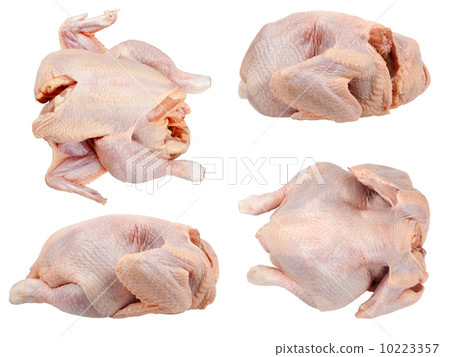 whole hen whole hen 10223357