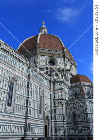 Florence Florence 10235551