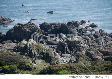地質遺產室戶地質公園世界地質公園室戶半島看到1600萬年前海底的狀態 10237935