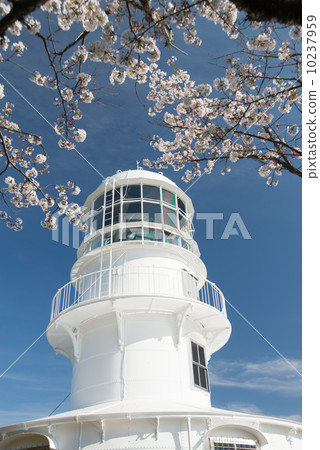 Chalka路標室戶角燈塔建築藍天和櫻花附加花 10237959