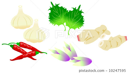 Flavored vegetables Flavored vegetables 10247595