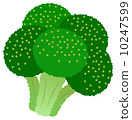 西蘭花 西蘭花 10247599