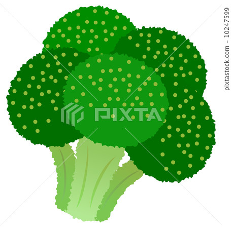 西蘭花 西蘭花 10247599