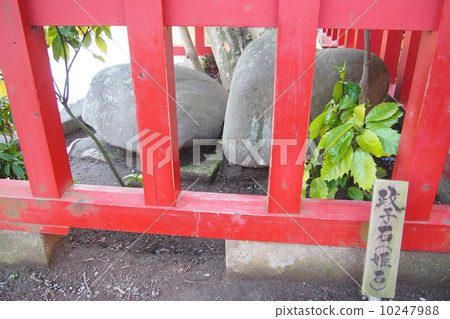 Political rock 10247988