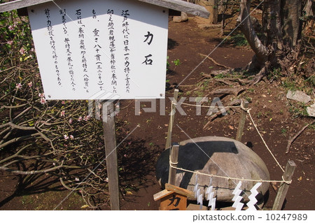 起重石 起重石 10247989