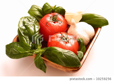 蕃茄蓬蒿大蒜意大利食品成分白色背景 10259256